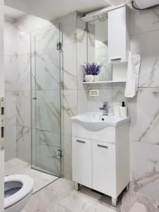 a bathroom with a toilet and a sink and a shower at Stara Pošta Apartment 5 in Grosuplje