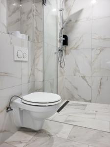 ein weißes Bad mit einem WC und einer Dusche in der Unterkunft Stara Pošta Apartment 5 in Grosuplje