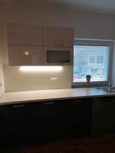eine Küche mit einer Spüle und einer Mikrowelle in der Unterkunft Apartma Bistrica in Slovenska Bistrica