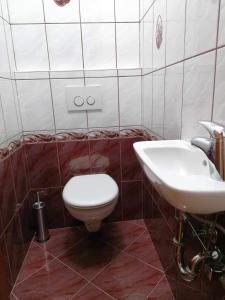 ein Bad mit einem WC und einem Waschbecken in der Unterkunft Apartma Bistrica in Slovenska Bistrica