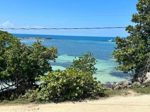 a view of the ocean from a hill with trees at Little Bay Bungalow in Little Bay