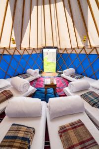 a room with a bunch of beds in a yurt at Festival Yurts Hay-on-Wye in Hay-on-Wye
