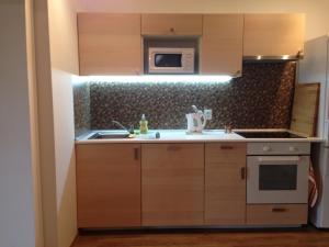 Kuchyň nebo kuchyňský kout v ubytování Apartment Vlčice u Trutnova