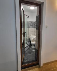 a bathroom with a toilet and a mirror at Adac Boutique Hotel in Bucharest