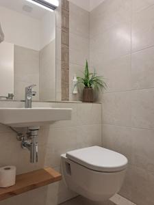 a bathroom with a white toilet and a sink at Hotel Union in Offenburg +30 photos