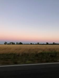 a view of a field from a highway at Casa Vacanze La Riserva Maccarese in Maccarese