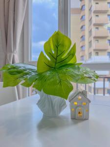 a green plant in a vase next to a bird house at Лайт студия на Южном вокзале in Kharkiv