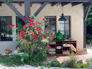 a bush of red flowers in front of a house at 'Le Petit Clos Suites'- Charming Getaway on Leman Lake in Nyon