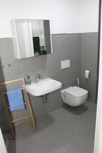 a bathroom with a sink and a toilet and a mirror at FeWo Oda in Bad Gandersheim