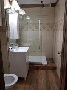 a bathroom with a shower and a sink and a toilet at Apartamentul Maria in Oradea