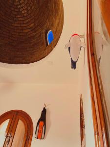 Fotografie z fotogalerie ubytování Nook v destinaci Dahab