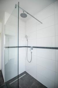 a bathroom with a shower with a glass door at FerienwohnungHeimatgefühl in Rimpar