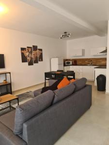 ein Wohnzimmer mit einem grauen Sofa und einer Küche in der Unterkunft Luxe et Détente Près du Luxembourg 