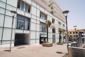 un grande edificio con palme di fronte di Funchal Centrum Apartment a Funchal