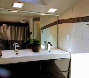 ein Badezimmer mit zwei Waschbecken und einem großen Spiegel in der Unterkunft Anthropocene Jewel Cottage in Milton + 52 Fotos