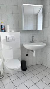 een badkamer met een wastafel, een toilet en een spiegel bij Het achterdek in Zwolle