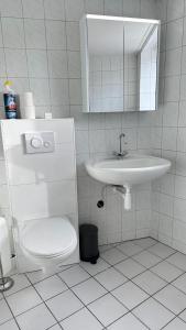 a bathroom with a sink and a toilet and a mirror at Het achterdek in Zwolle +10 photos