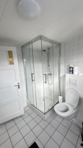 a white bathroom with a shower and a toilet at Het achterdek in Zwolle