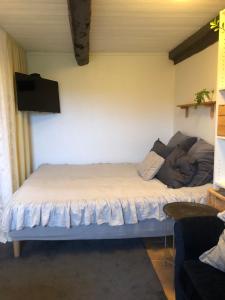 1 dormitorio con 1 cama y TV de pantalla plana en Havsnära lantligt boende, en Glommen