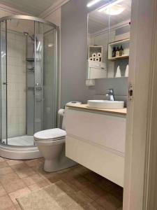 W łazience znajduje się prysznic, toaleta i umywalka. w obiekcie Mølleråsen Apartment w mieście Sandefjord