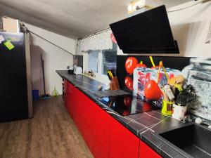 Kuchyň nebo kuchyňský kout v ubytování Apartmány u koní