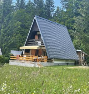 a house with a metal roof on top of a field at Hiša Pr Valter in Jesenice