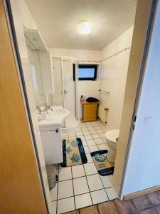 a small bathroom with a toilet and a sink at Privatunterkunft mit Bad und Küche in Seenähe in Zülpich