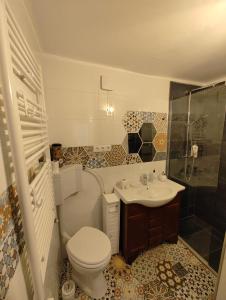 uma casa de banho com um WC, um lavatório e um chuveiro em Studio Catalin em Braşov