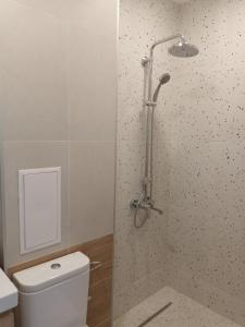 a bathroom with a toilet and a shower stall at Студио Ели - Пловдив in Plovdiv