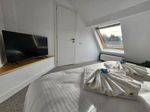 プレデアルにあるCamere de Inchiriat IGLOOのベッドルーム(ベッド1台、薄型テレビ付)