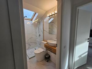 プレデアルにあるCamere de Inchiriat IGLOOのバスルーム(シャワー、トイレ、シンク付)