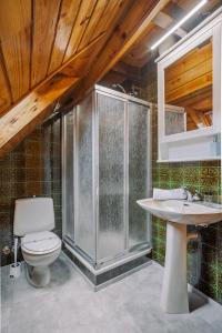 y baño con aseo y lavamanos. en Casa Rural ARIX en Sallent de Gállego