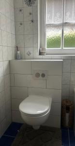 a white toilet in a bathroom with a window at Landhaus Ostermann in Umhausen