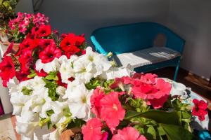 Fotografie z fotogalerie ubytování B&B Martina v destinaci San Vito