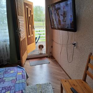 TV a/nebo společenská místnost v ubytování Jaama Puhkemaja