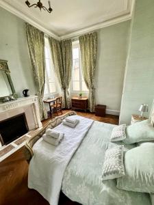 a bedroom with a large bed and a fireplace at La Maison d'hôtes du Chapelier in Espéraza