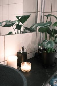 a candle and plants on a counter in a bathroom at Studio apartment in Oslo