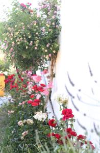 Fotografia z galérie ubytovania Casa Rural Huerta la Lapa v destinácii Cañete la Real