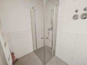 W łazience znajduje się prysznic ze szklanymi drzwiami. w obiekcie CASA GOLD-Zentral-Outlet-Aufzug-Stylisch-Unique w mieście Metzingen
