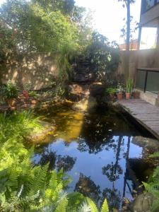 Φωτογραφία από το άλμπουμ του Pousada Bon Vivant σε Κάμπο Φρίο +206 φωτογραφίες