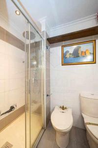 La salle de bains est pourvue de toilettes et d'une douche en verre. dans l'établissement Dúplex Galiana, à Avilés
