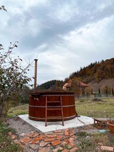 eine große Holzbadewanne auf einem Feld in der Unterkunft Casa Irina in Kloster Humor