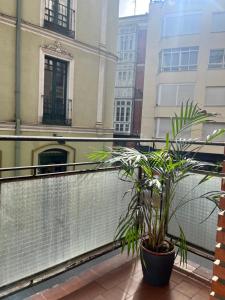 einen Balkon mit einer Pflanze in einem Topf in der Unterkunft Apartamento en pleno centro de Valladolid in Valladolid