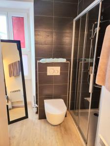 uma casa de banho com um WC e uma cabina de duche em vidro. em Auberge de l’Union em Lens