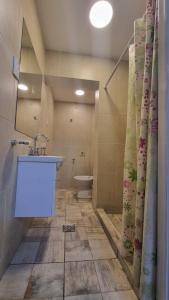 uma casa de banho com um lavatório e um WC em Hostel S & J Mendoza em Guaymallen