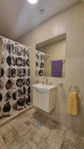 a bathroom with a sink and a mirror at Hostel S & J Mendoza in Guaymallen