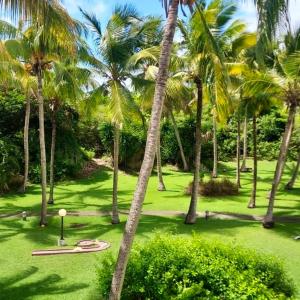 Aed väljaspool majutusasutust Studio cosy à Saint-François - 21 m² avec balcon et piscine