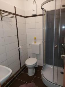 ein Bad mit einem WC, einer Dusche und einem Waschbecken in der Unterkunft City Pension Senftenberg / Apartment Nr.1 in Senftenberg