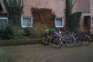 un grupo de bicicletas estacionadas frente a un edificio de ladrillo en Budget Flats Leuven - Budget Studio Twin, en Lovaina