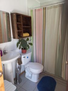 a bathroom with a toilet and a sink at Cabaña valle de elqui horcon Encantó del pimiento in Horcon